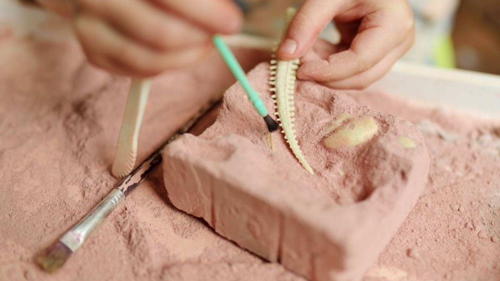 petits débouillards