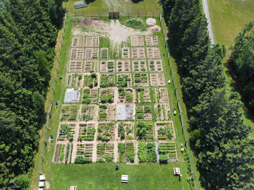 Jardin communautaire